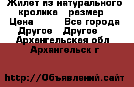 Жилет из натурального кролика,44размер › Цена ­ 500 - Все города Другое » Другое   . Архангельская обл.,Архангельск г.